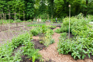 Moestuinen - Permacultuur 