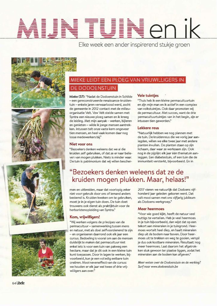 DODOENSTUIN ARTIKEL LIBELLE_Page_1