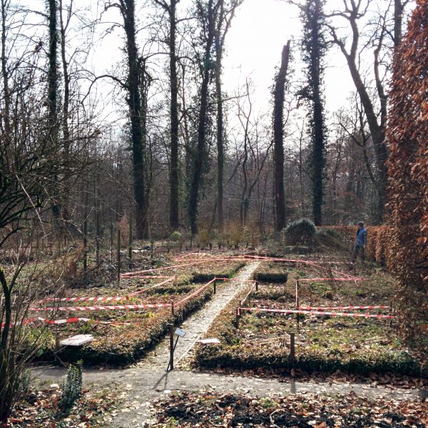 Kruidenreus Dodoenstuin Schilde